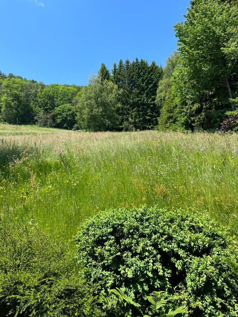 Chalet entier, vue panoramique, ruisseau et sauna.