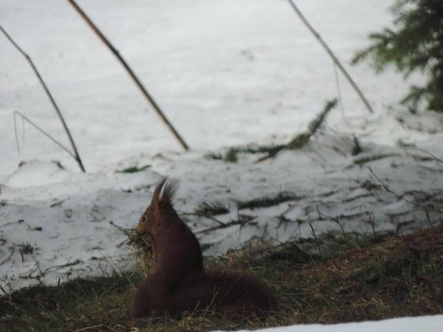Chalet entier, vue panoramique, ruisseau et sauna.