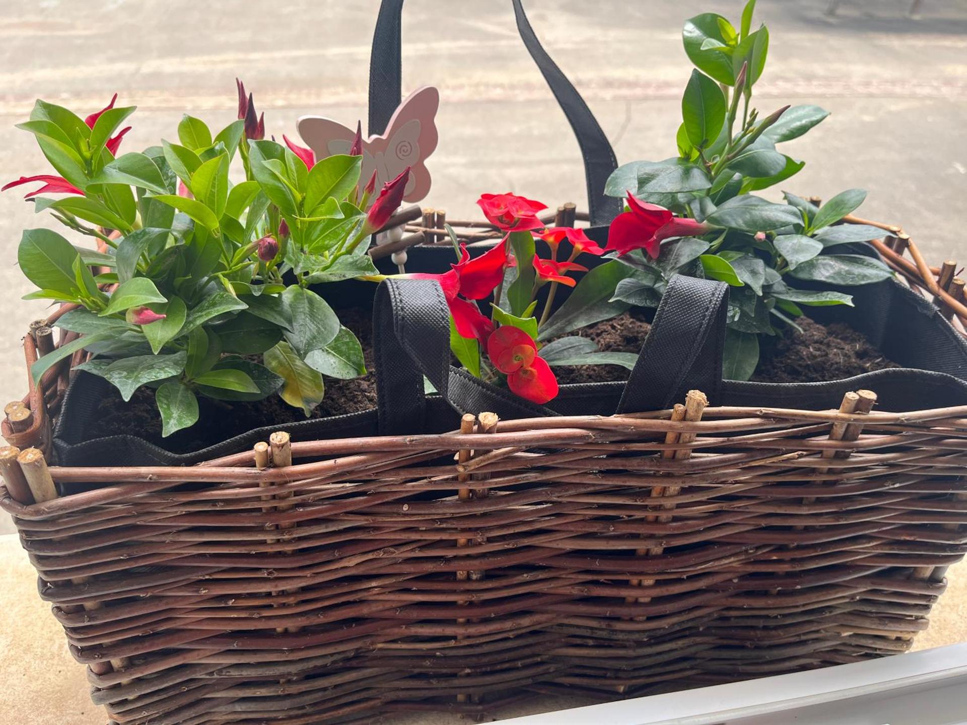 Charmant appartement Cosy porte de Colmar