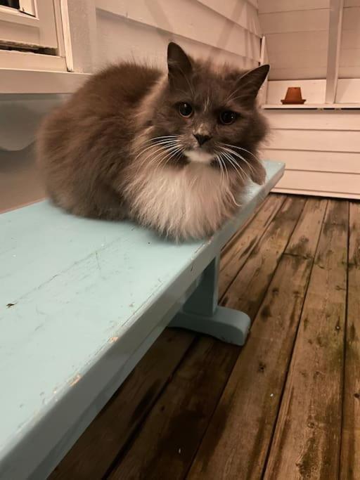 Koselig garasjeloft!