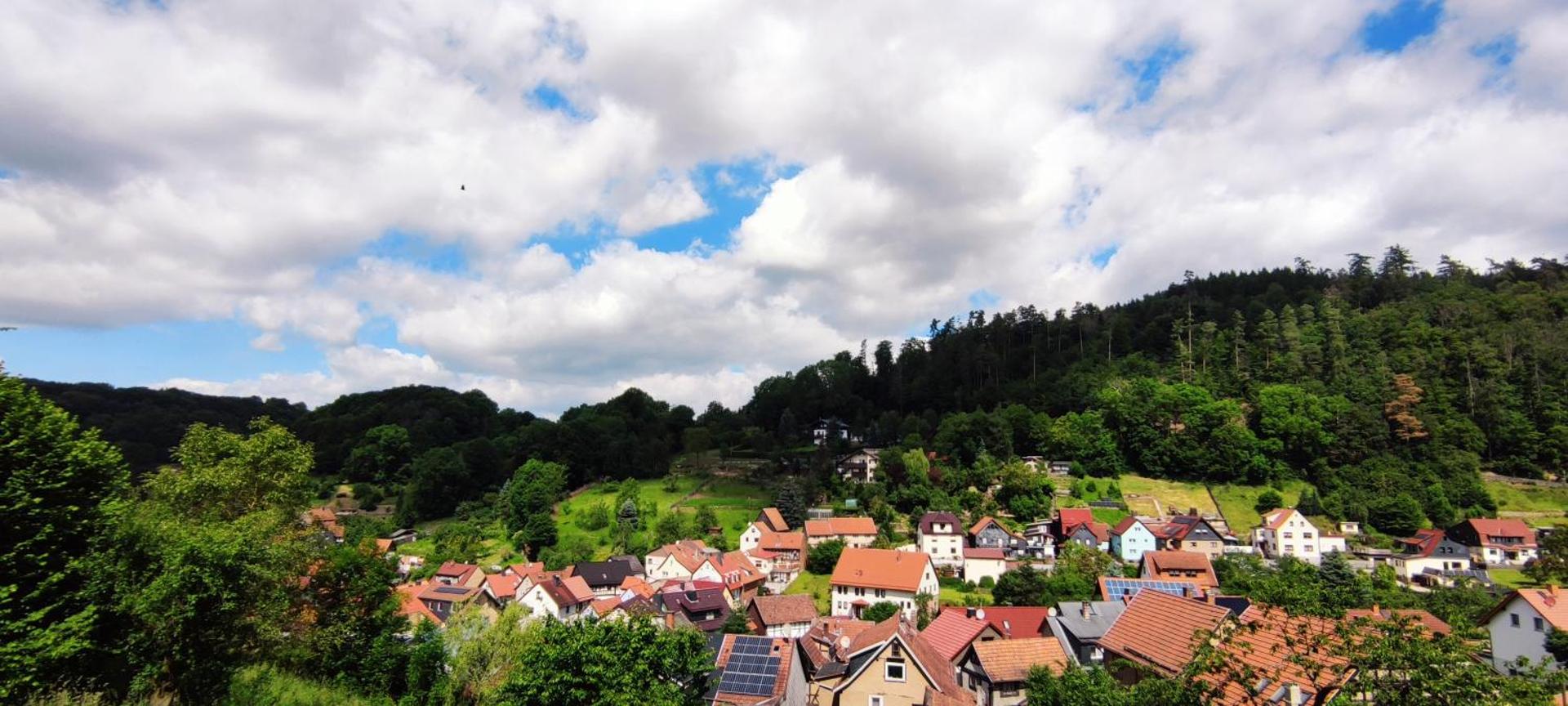 View (from property/room)