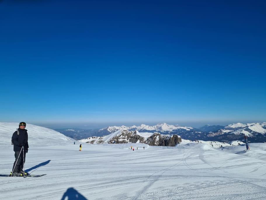 appartement montagne la vallée verte cœur station Hirmentaz