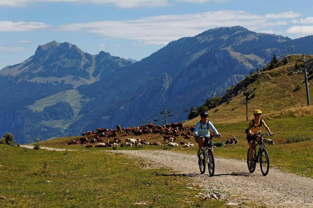 appartement montagne la vallée verte cœur station Hirmentaz