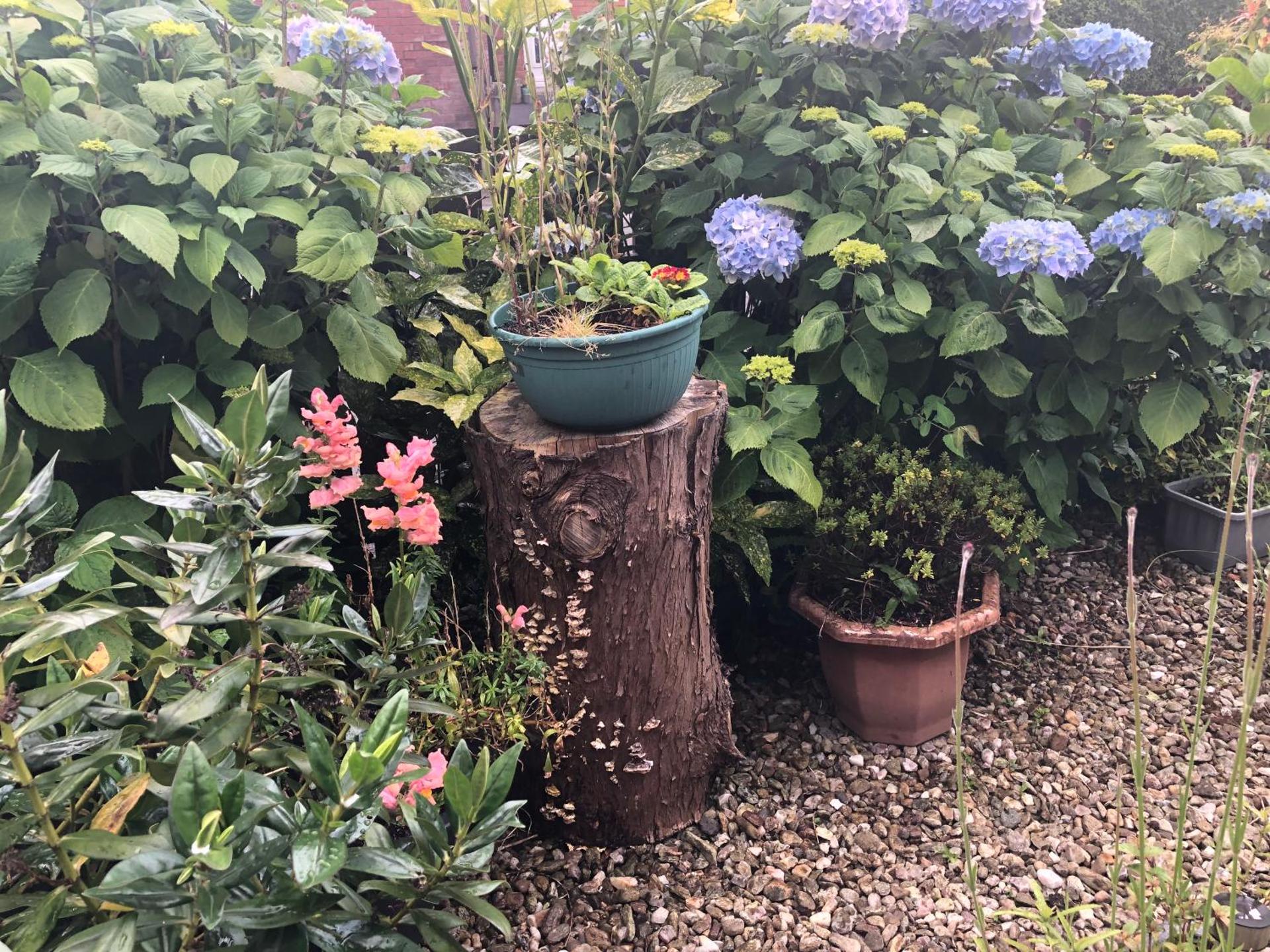 PondeROSEa Cottage Free Gated Parking M1 & City location, wood stove