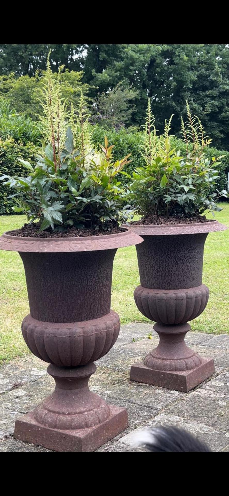 PrinsHaerlyck Overnachten