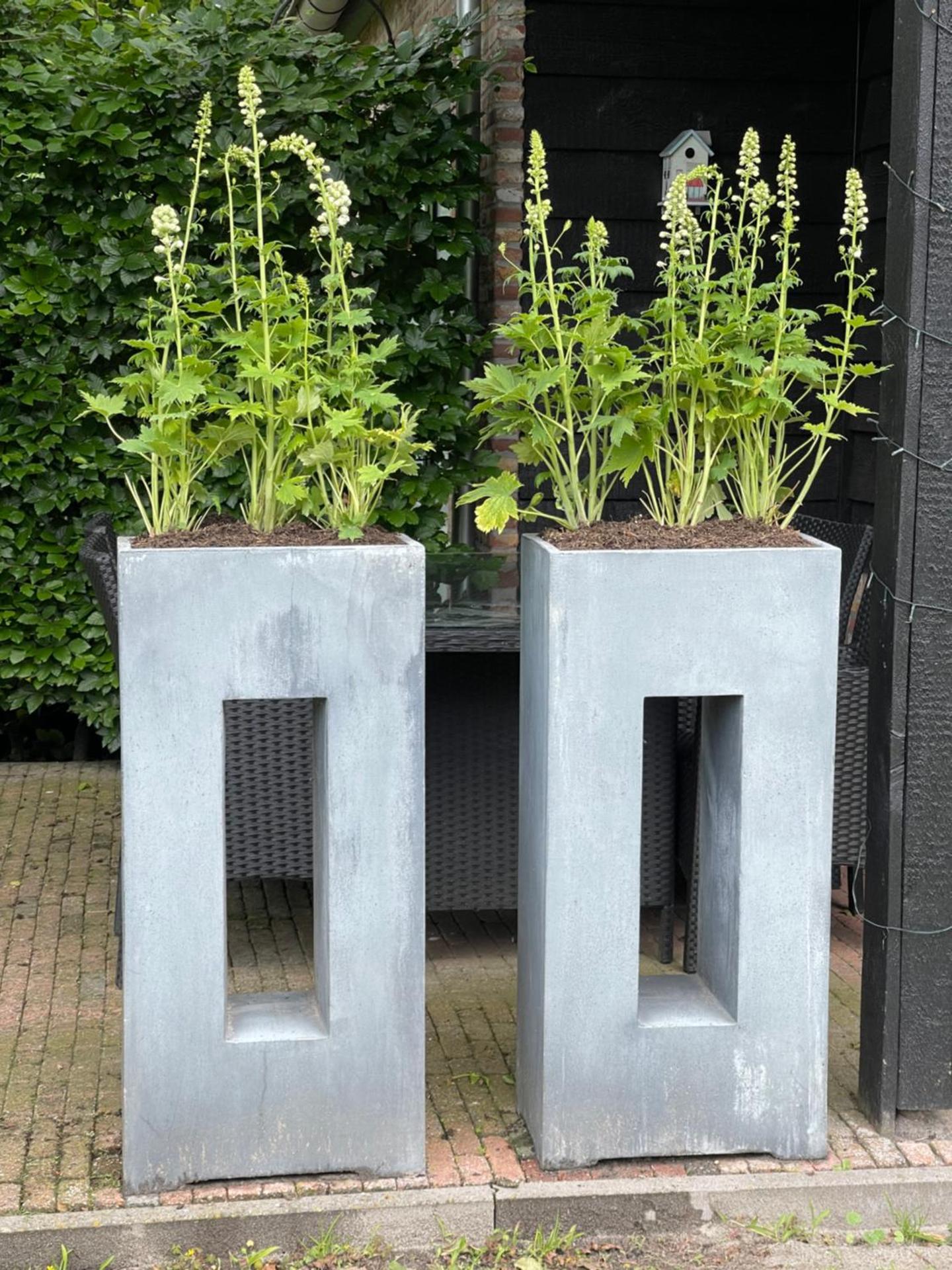 PrinsHaerlyck Overnachten