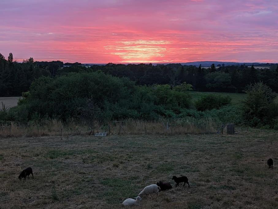 Joli studio à la campagne