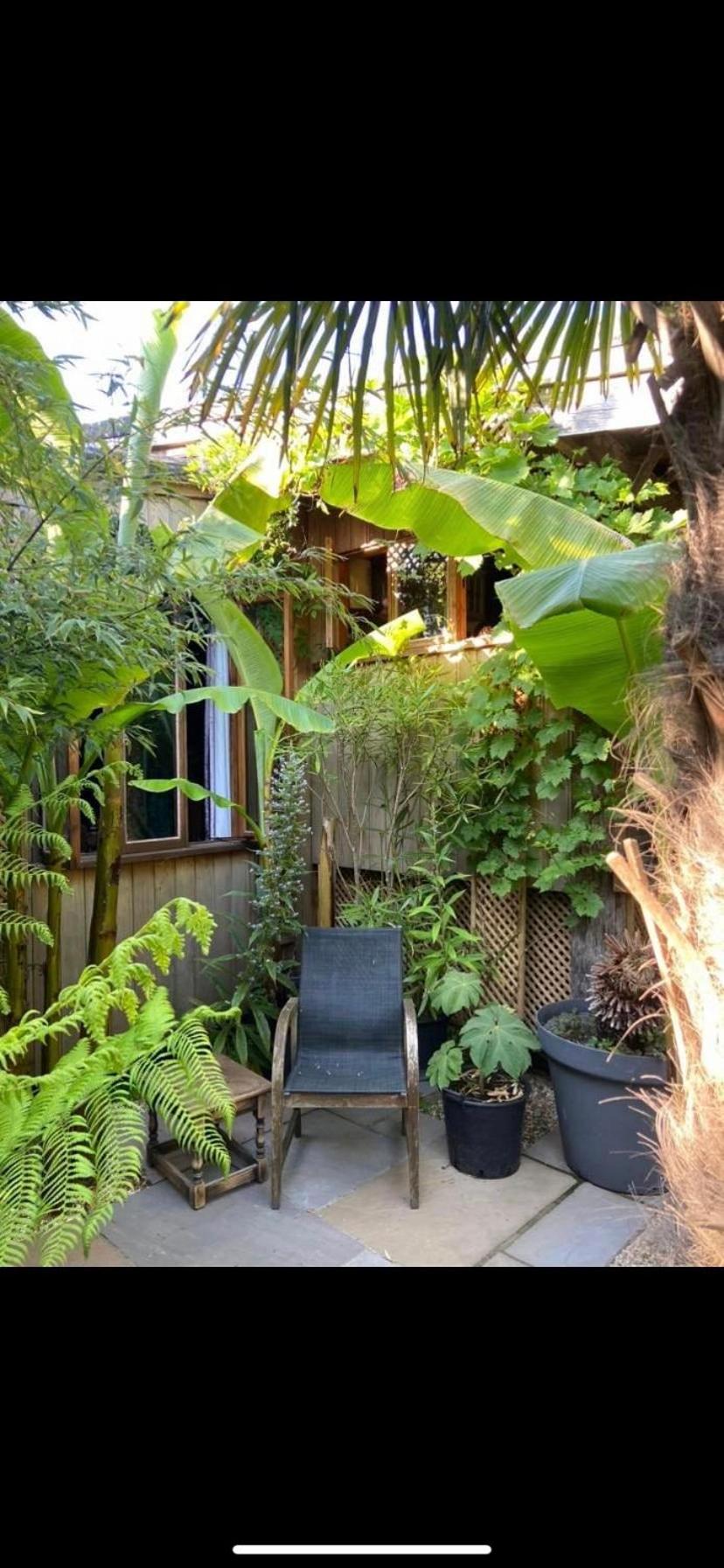 Jungle Cabin