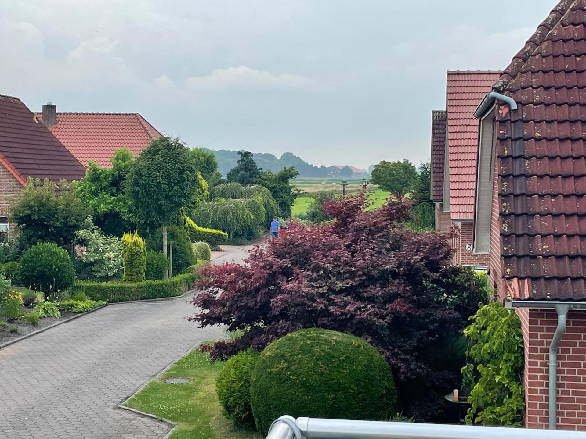 View (from property/room)