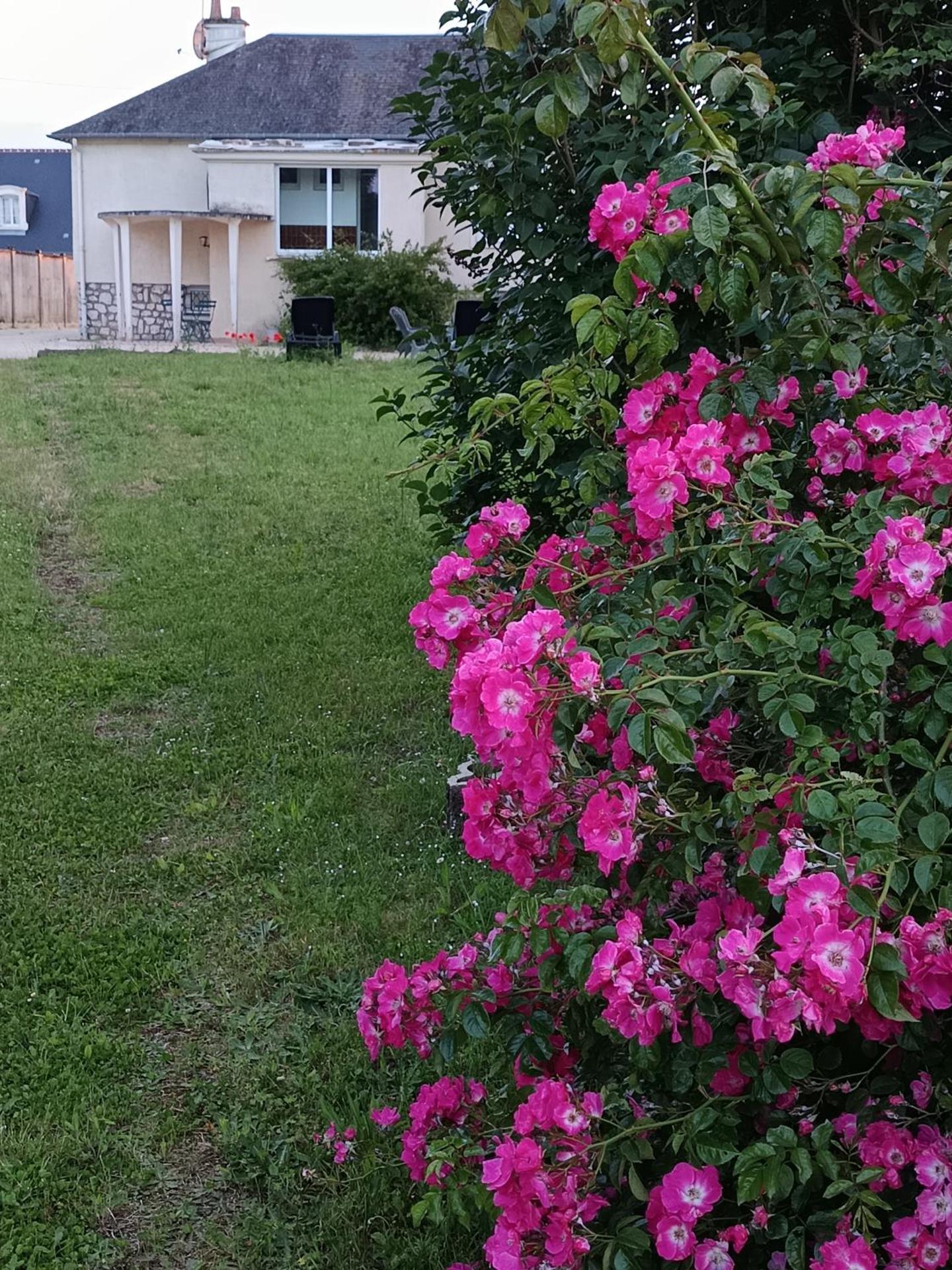 Maison 6 couchages avec jardin au coeur des châteaux de la Loire