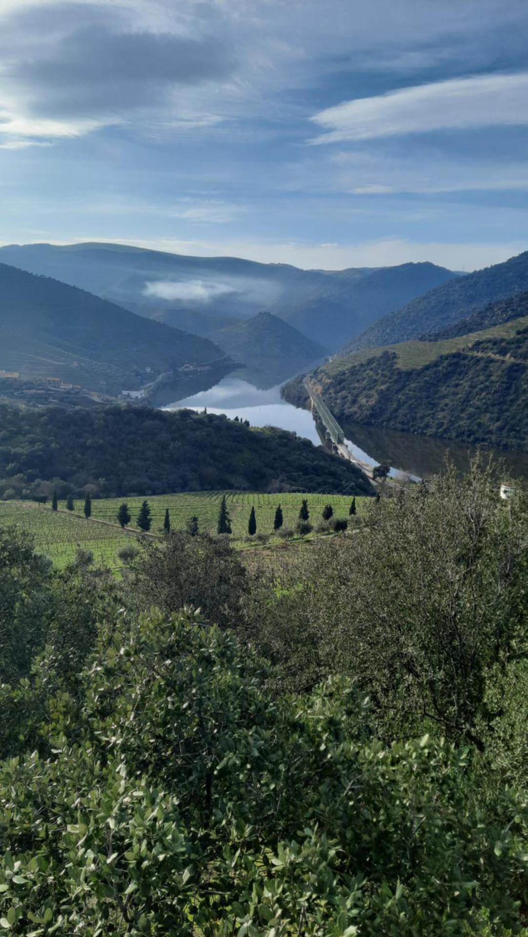 Ferradosa GuestHouse