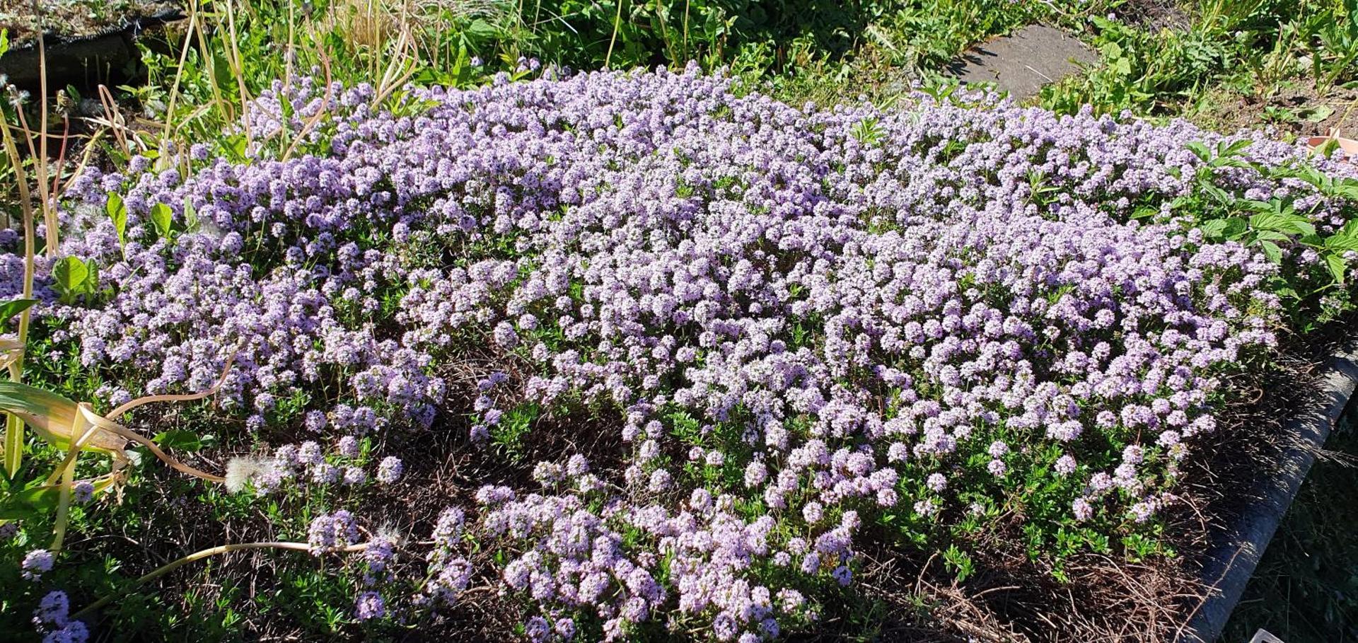 Ferienwohnung am Huthainberg