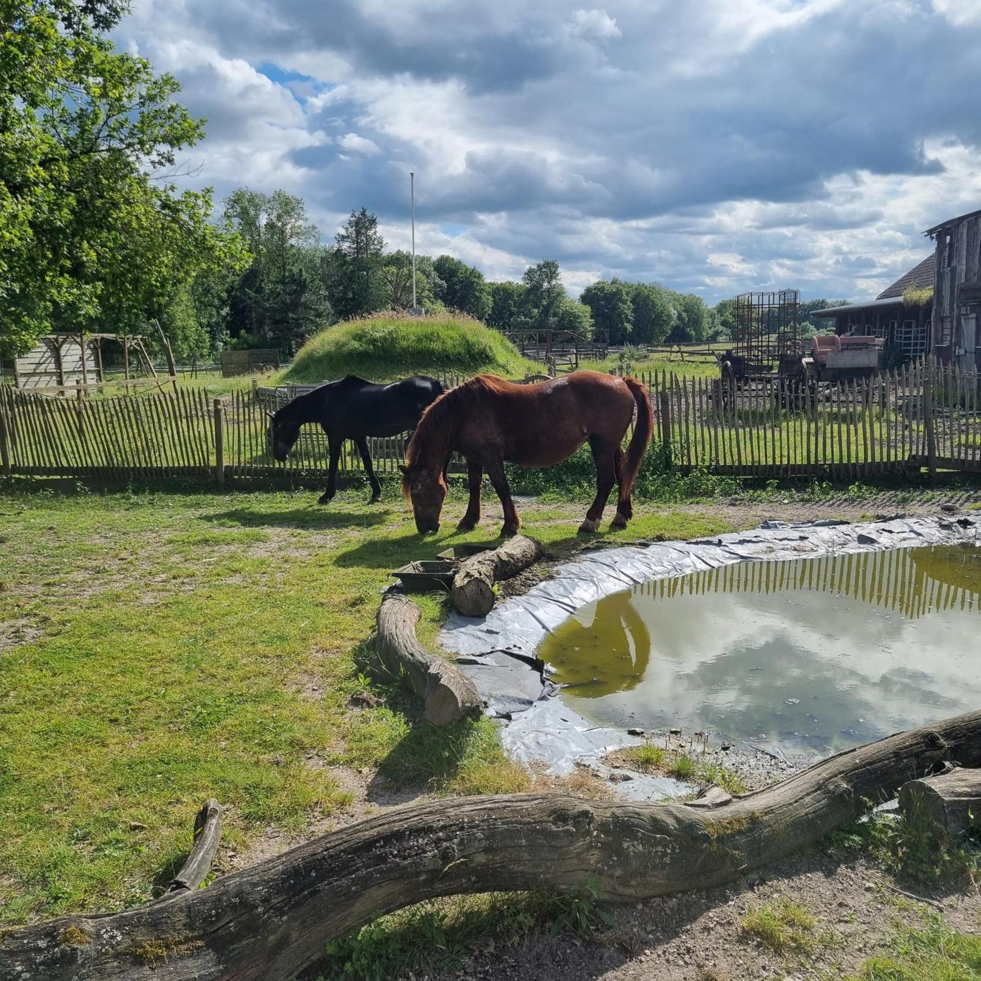 Apartment with Garden View