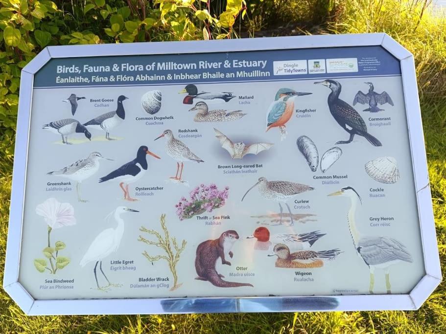 Dingle Escape -2 Bed -Sleeps 4