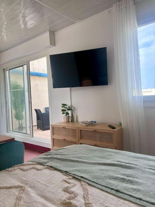 Grand large Appartement terrasse front de mer Barcarès