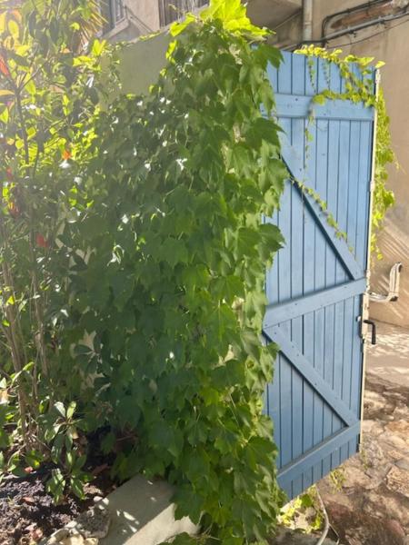 Bord de mer, magnifique appartement de 150m2 avec jardin