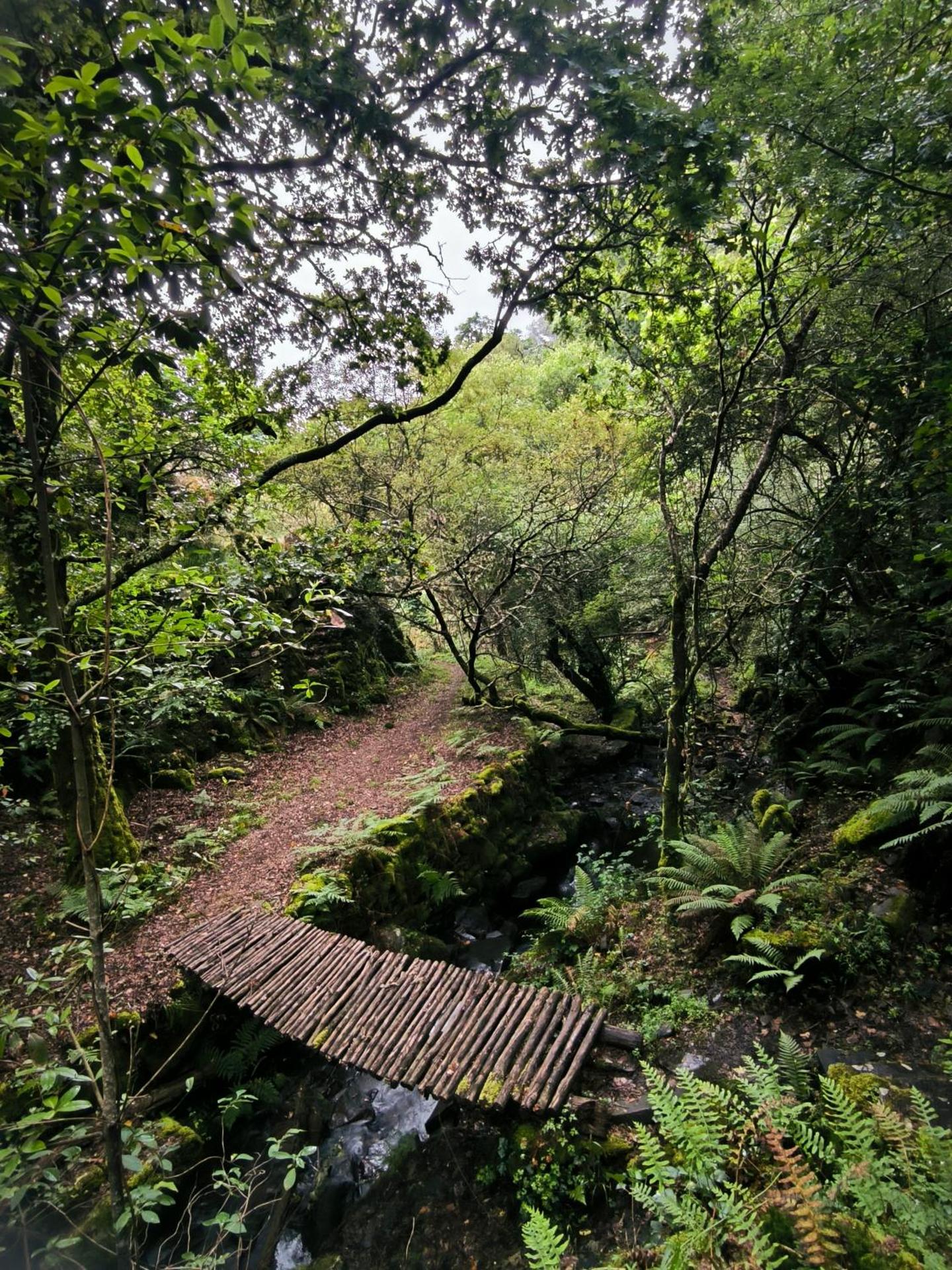 Cantinho do Talasnal