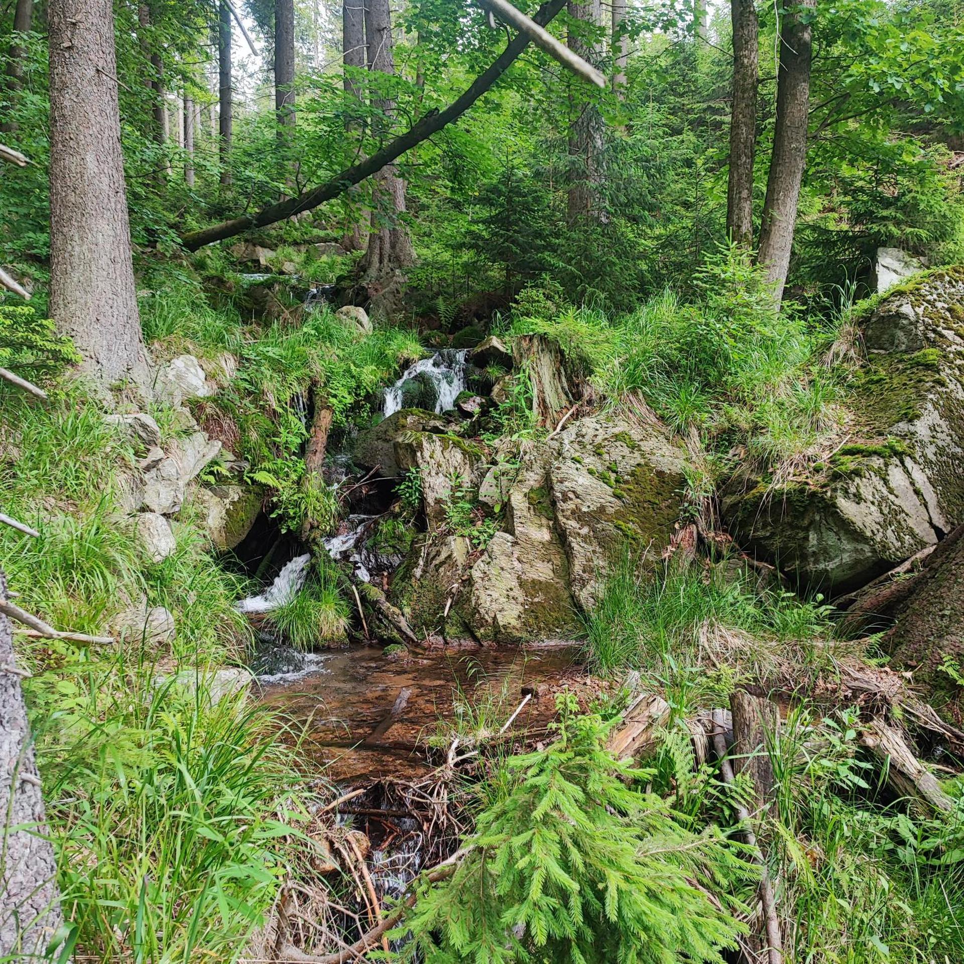 Willa Pod Dobrym Humorem