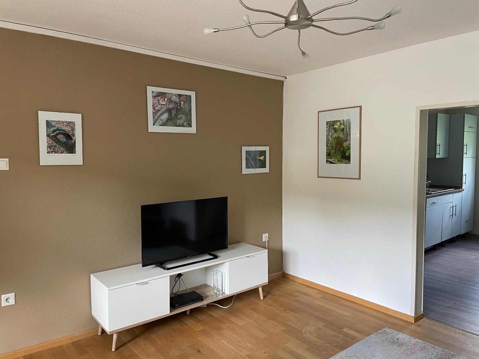 Communal lounge/ TV room