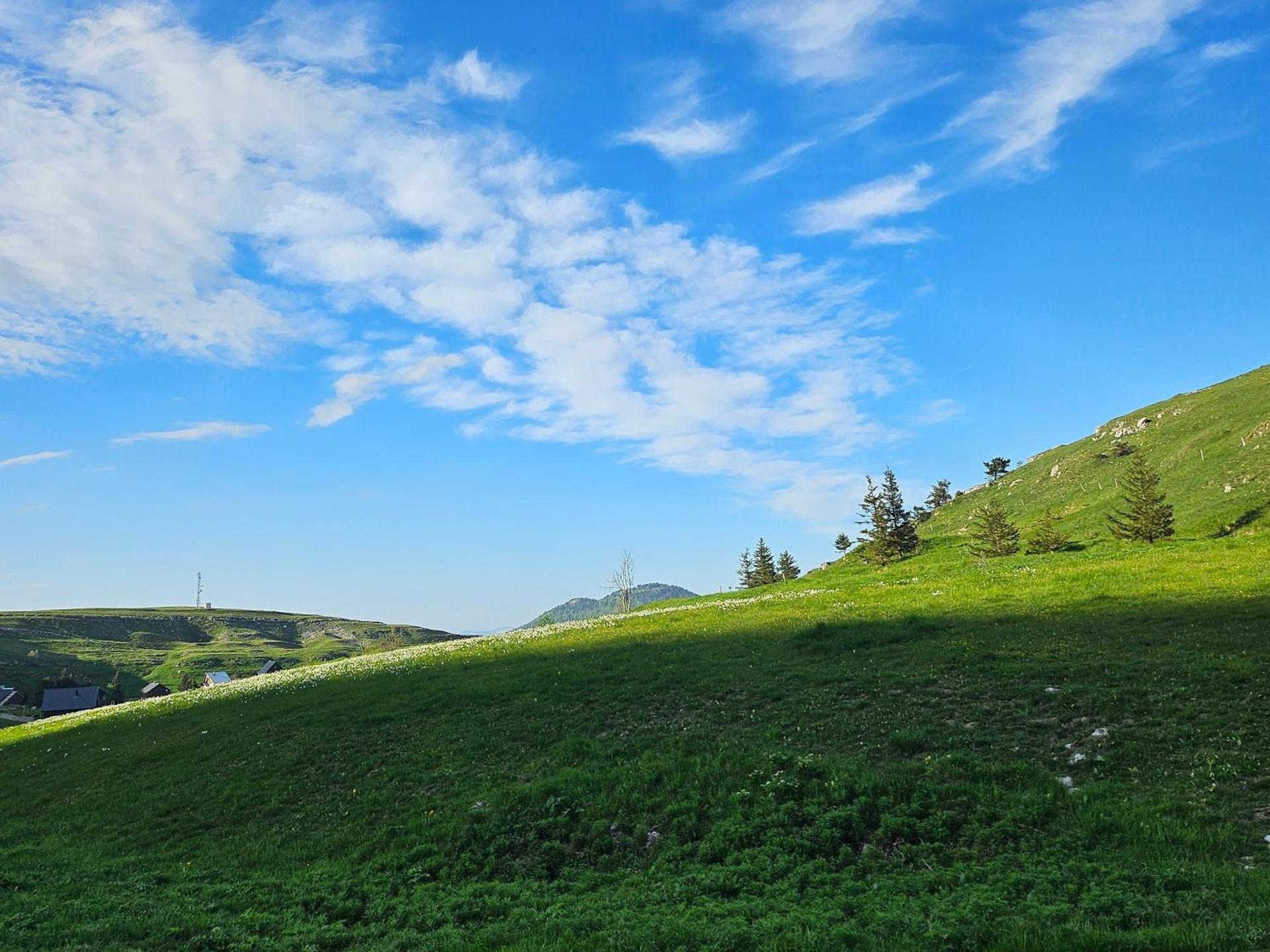 Picasso Chambre Privée Le Refuge Du Phoenix