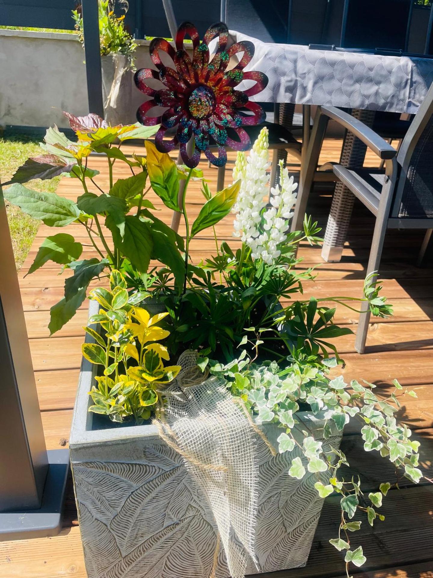 Maison Gite Chez Nounou sauna jacuzzi jardin arboré non clôturé