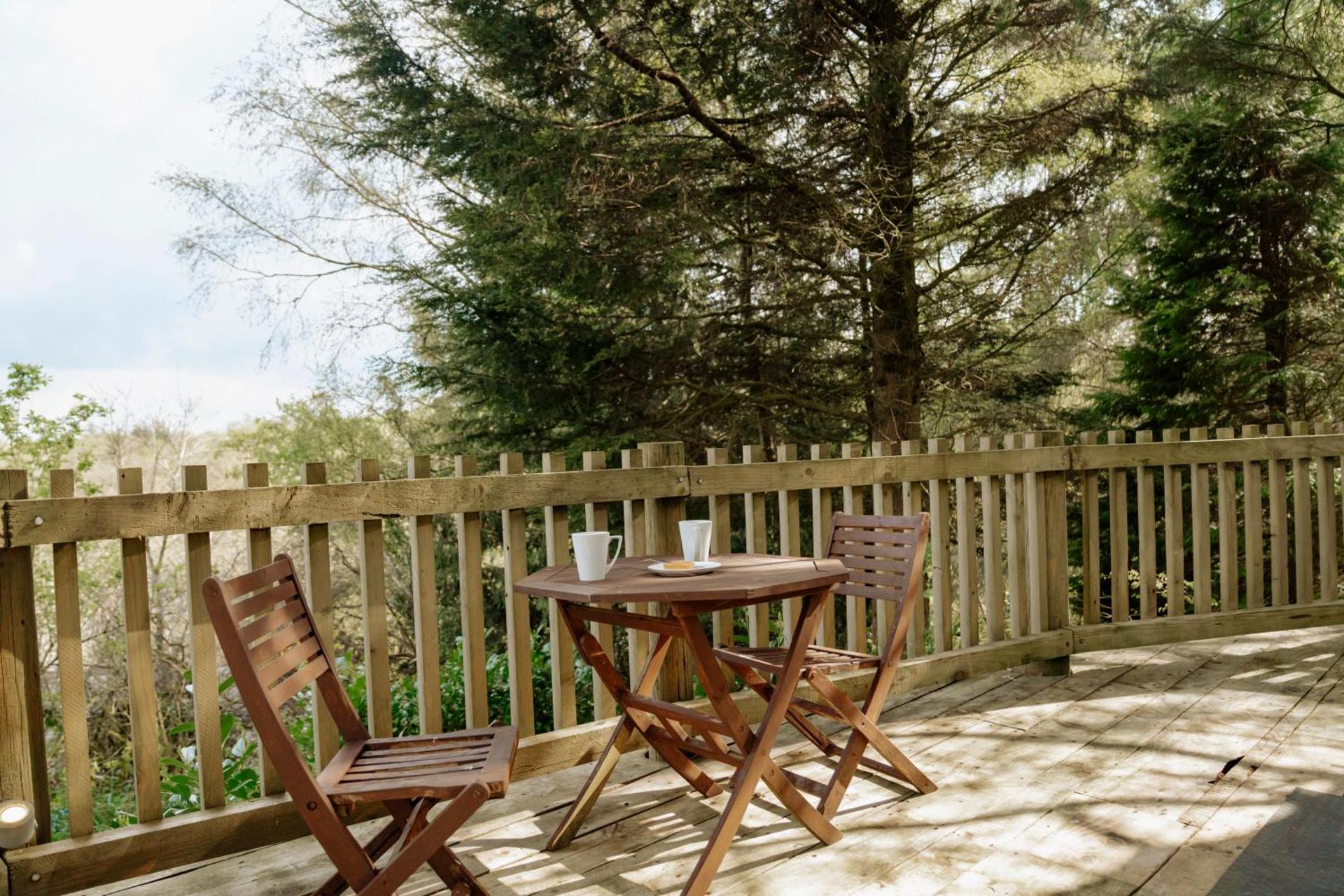 Llethrau Forest & Nature Retreats