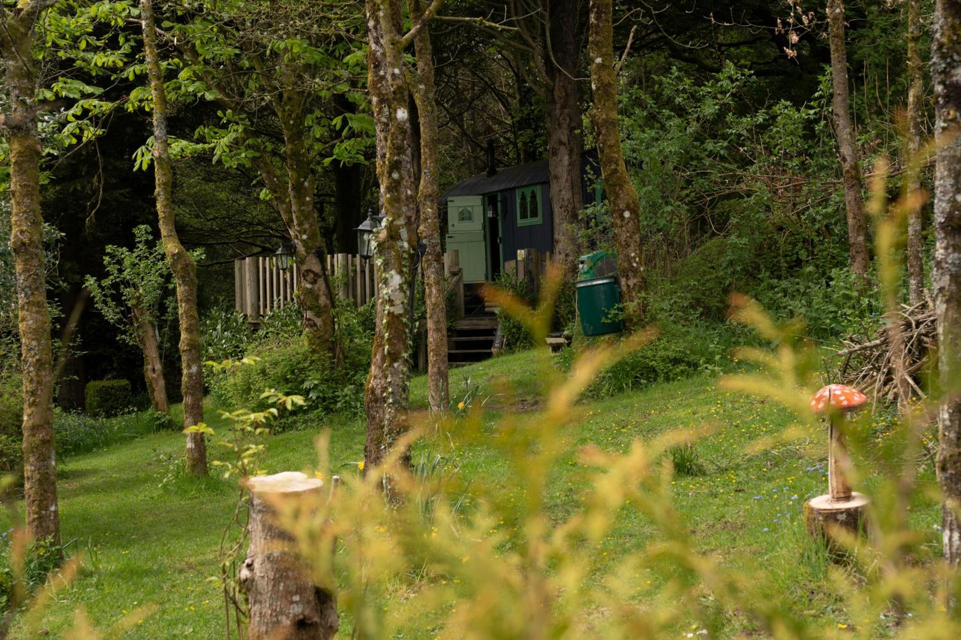 Llethrau Forest & Nature Retreats