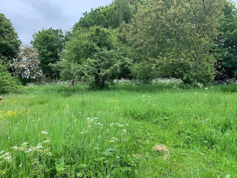 Cosy Cotswolds Retreat near Bath & Castle Combe