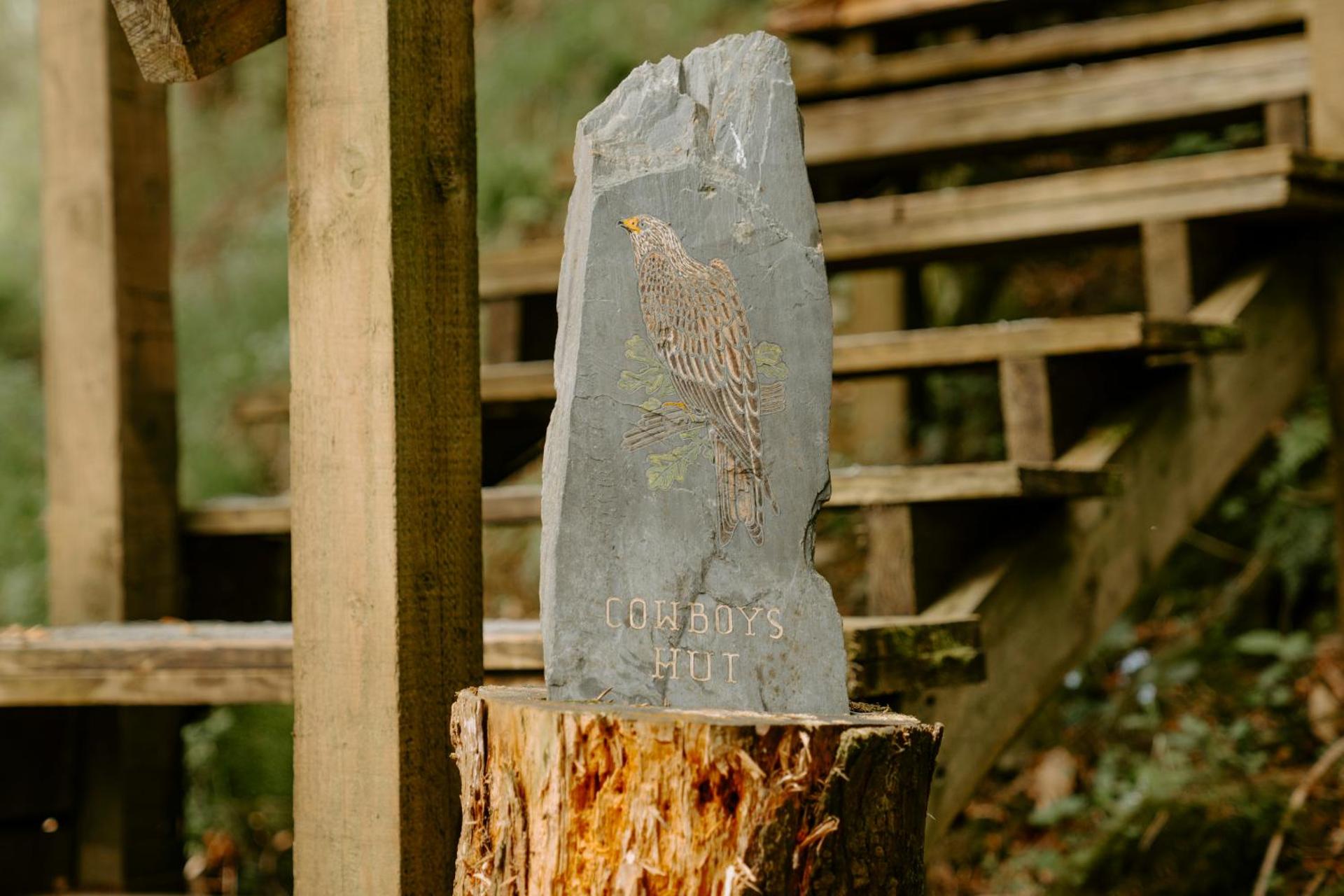 Llethrau Forest & Nature Retreats