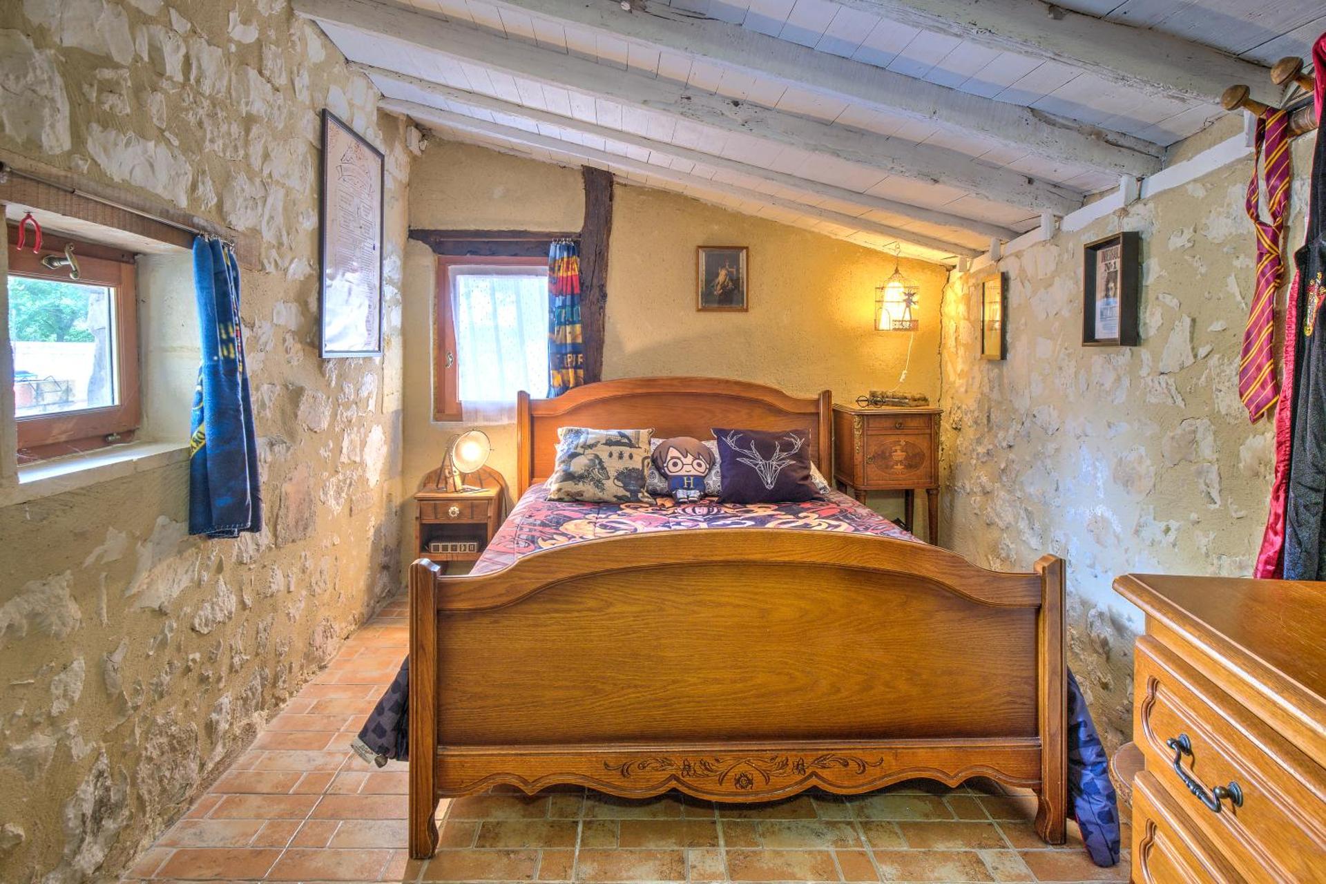 Le Magicogite - Harry Potter