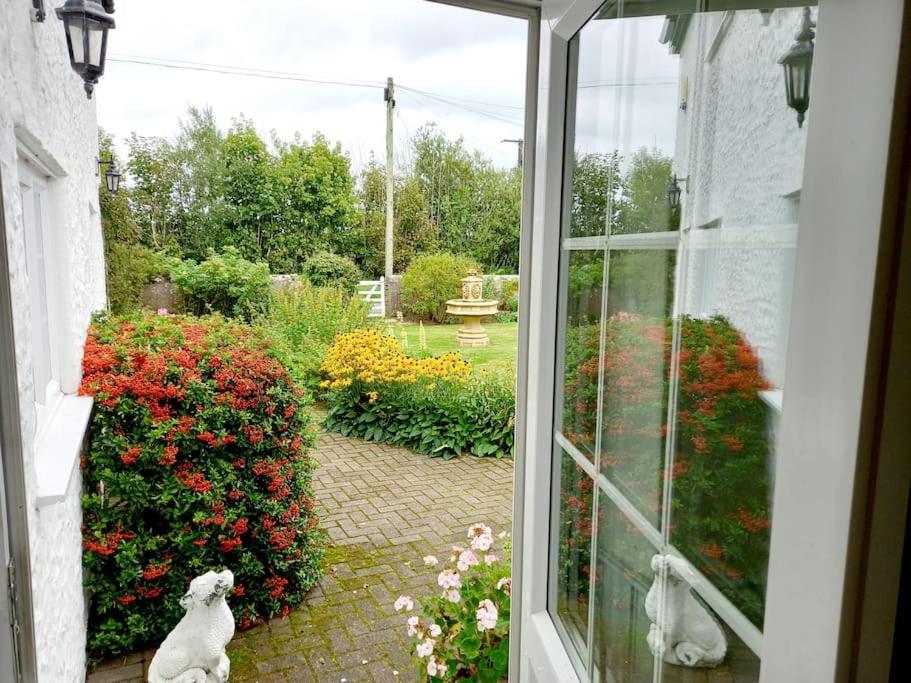 Rhos y Bel Cottage Angelsey