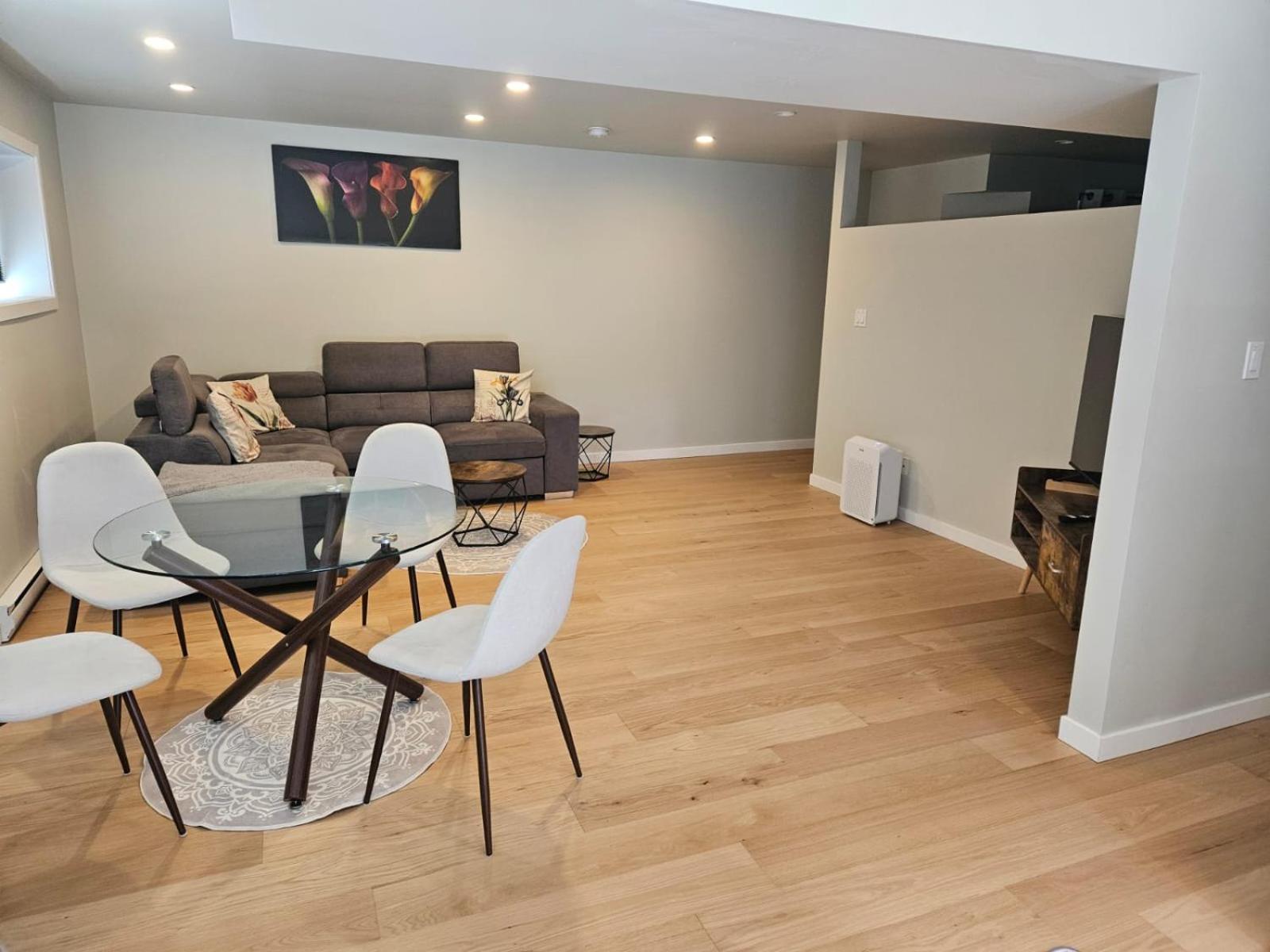 Lovely 1 Bedroom Suite Near Town