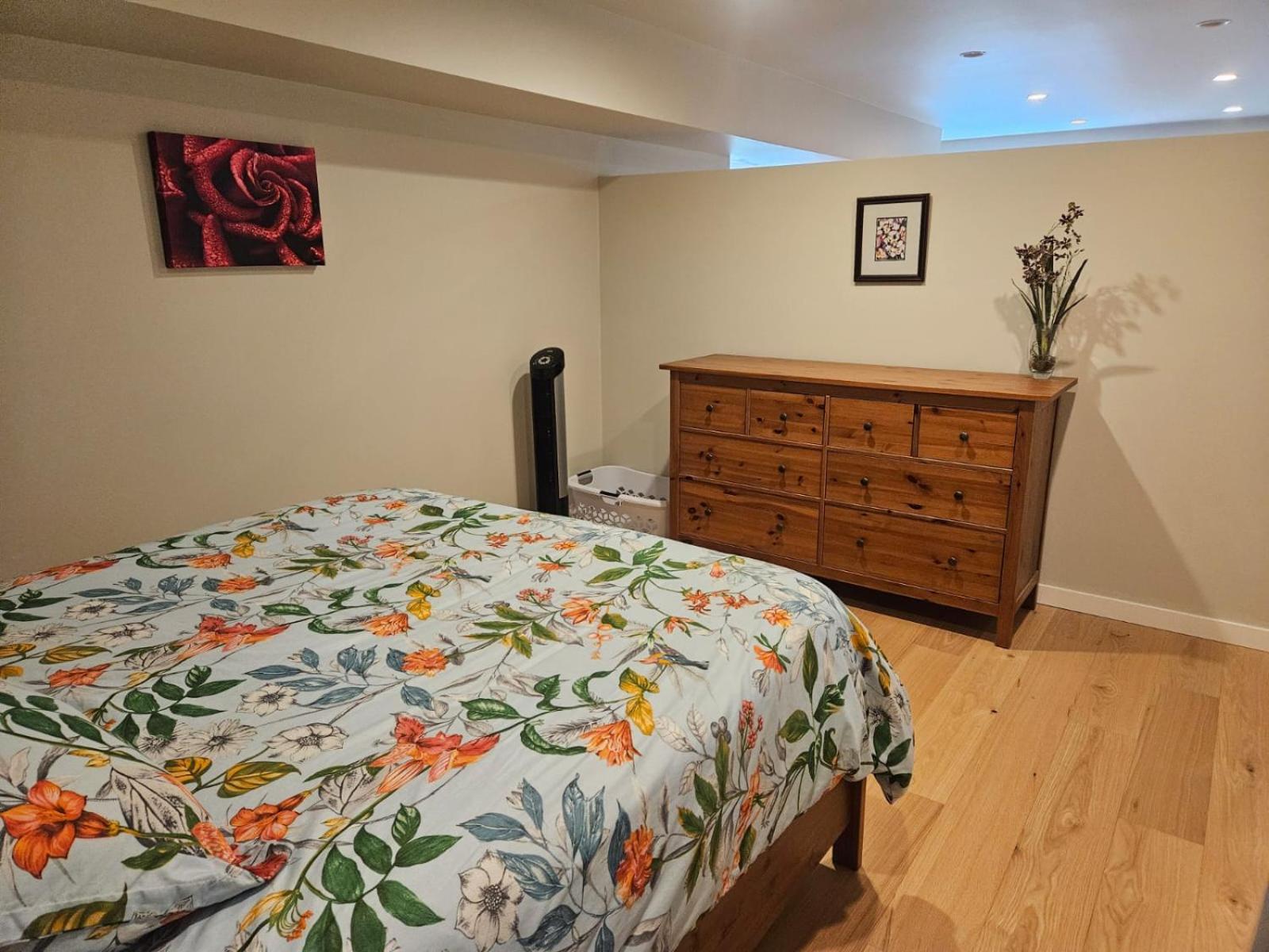 Lovely 1 Bedroom Suite Near Town