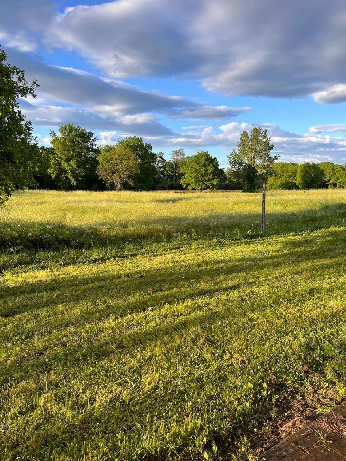 Camera tripla Il Picchio Verde