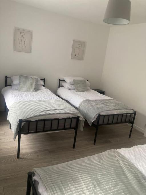 Terrace with a Twist!