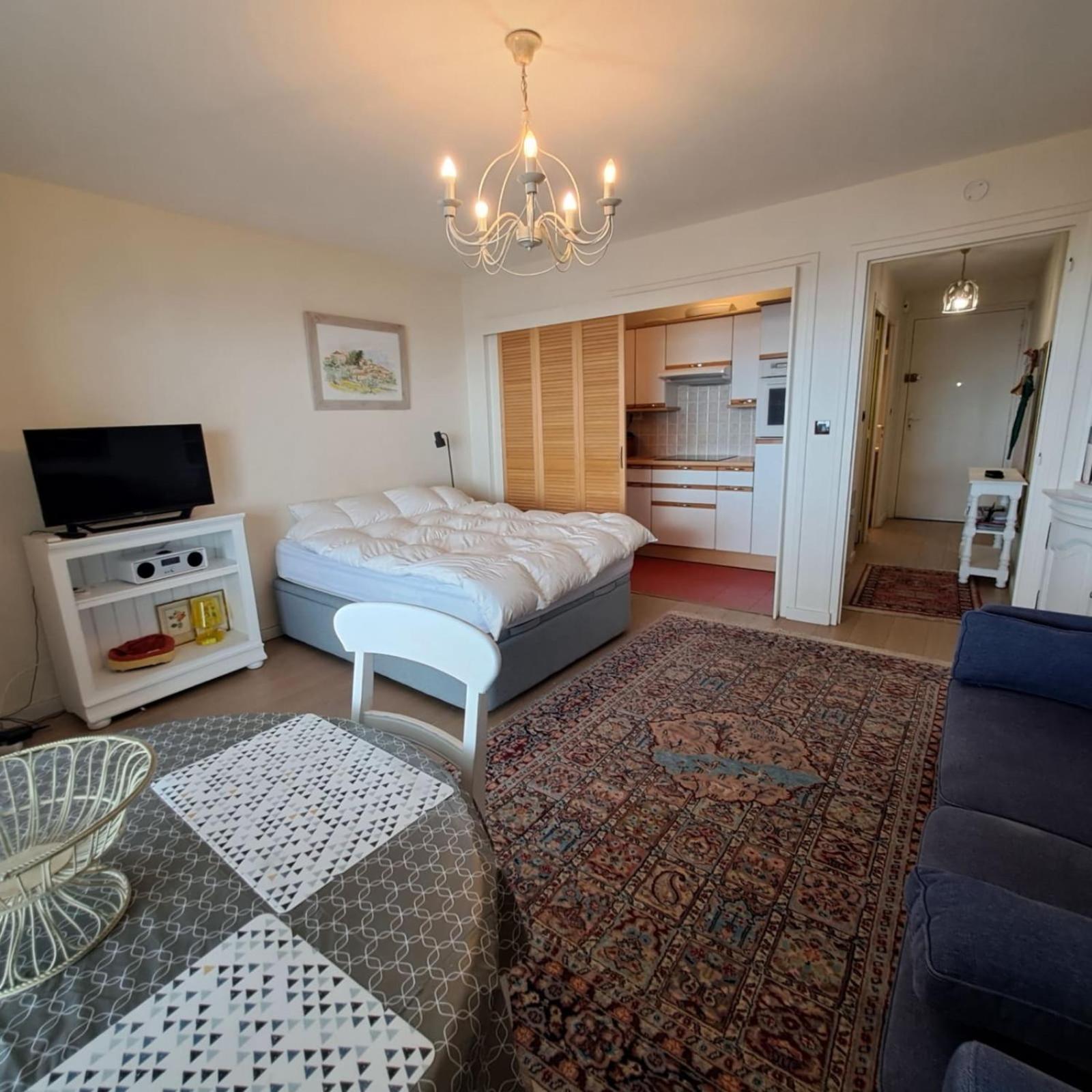 Studio And Terrace Sea View In La Baule