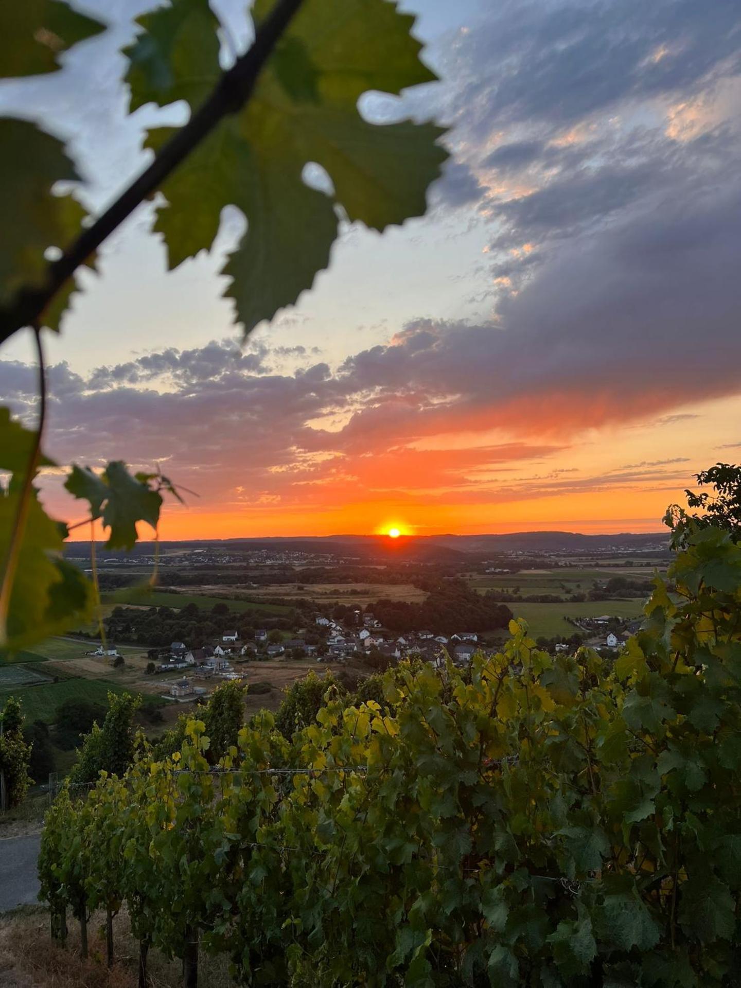 Weingut u. Gästehaus Becker
