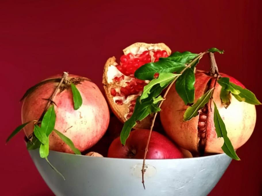 Casa Iride, appartamento con grazioso giardino