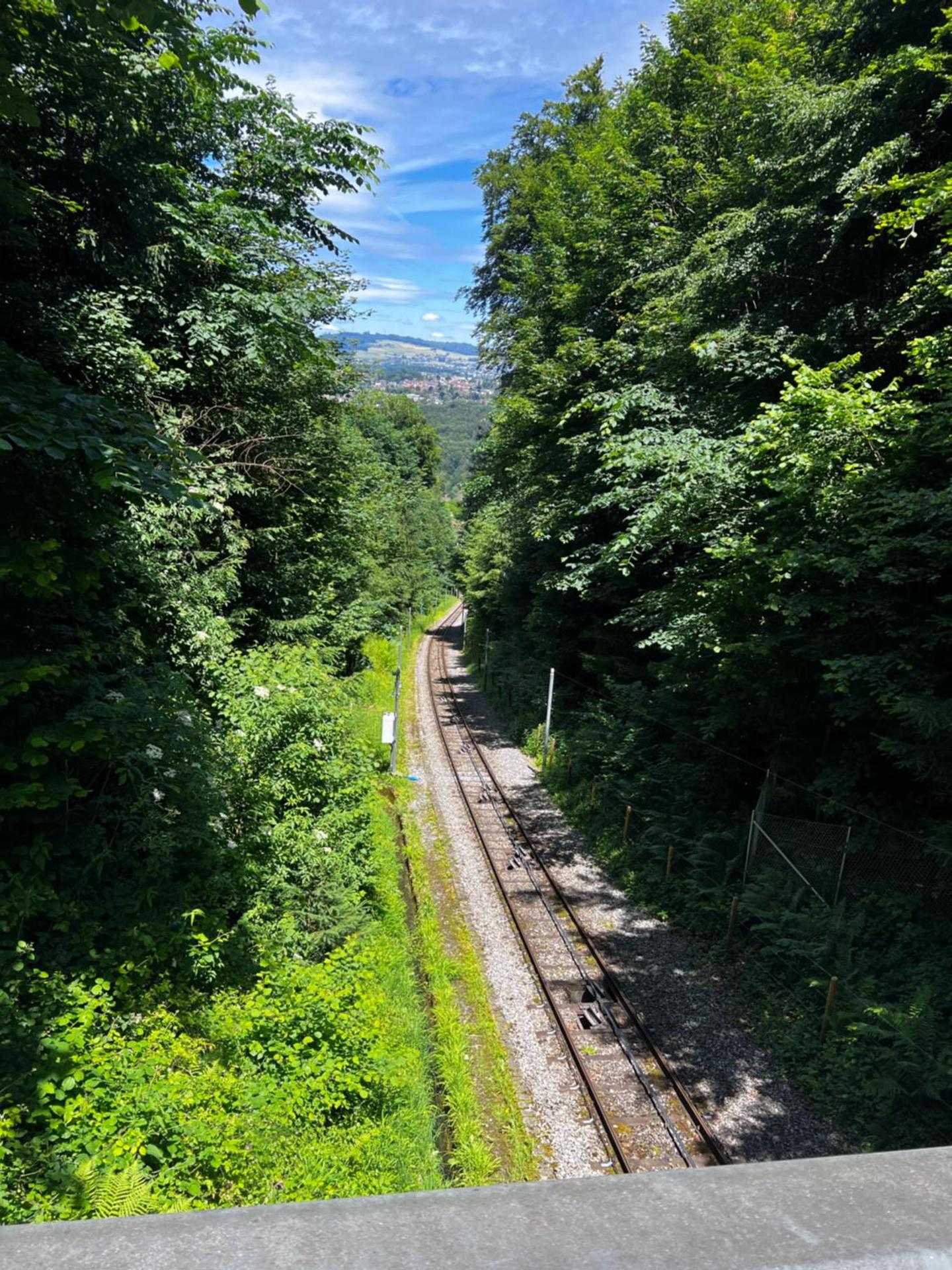 Apartments in Bern - Green Relax