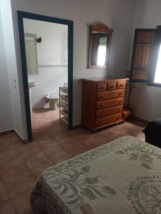 Finca Rústica La Palmera