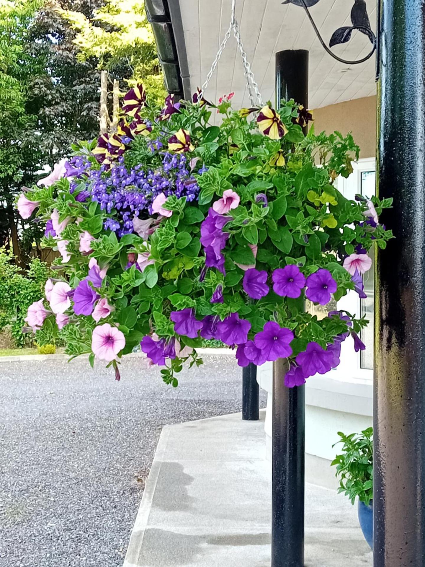 White Quarry Hse Quarry Road