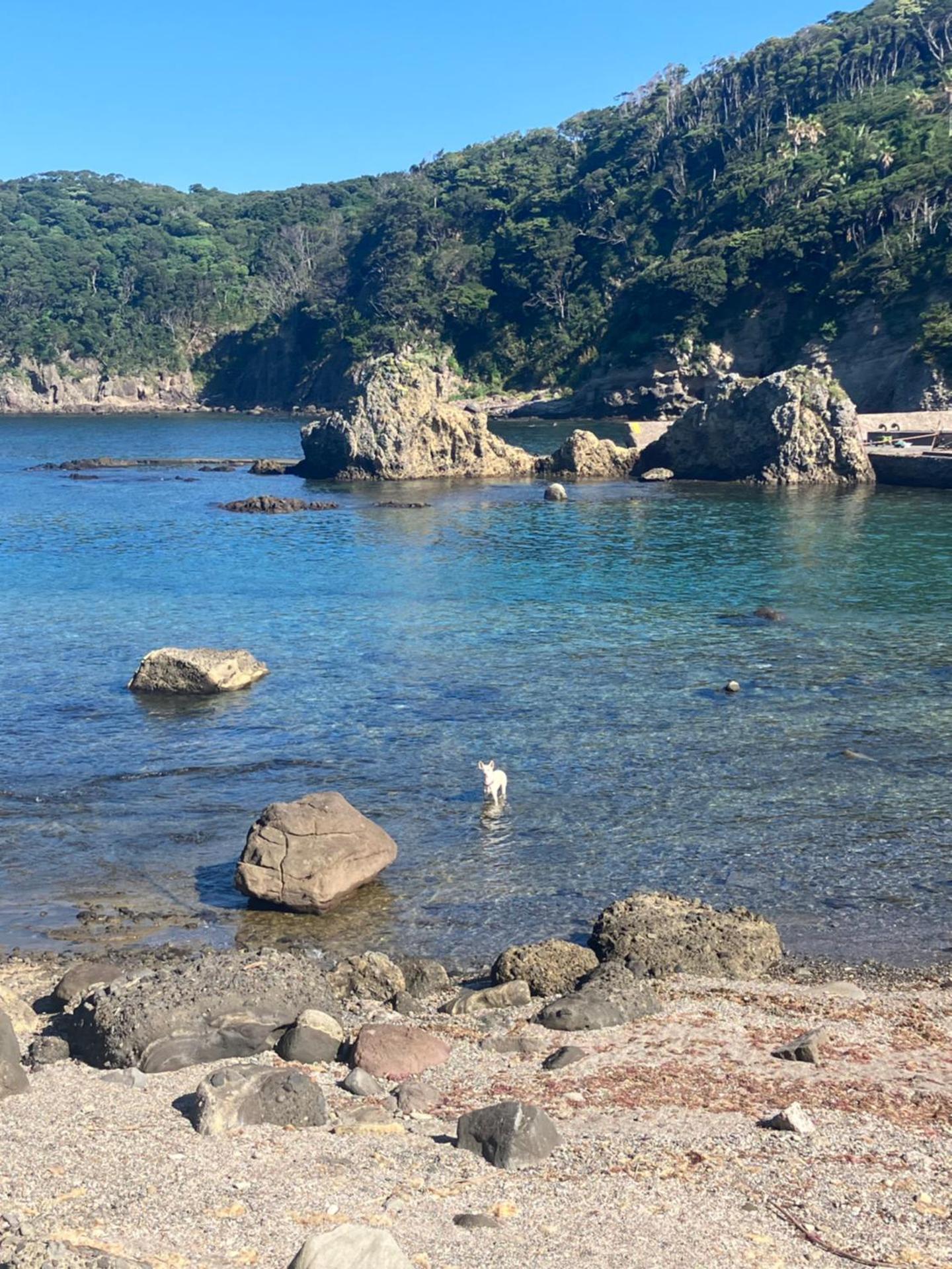 貸別荘吉佐美苑