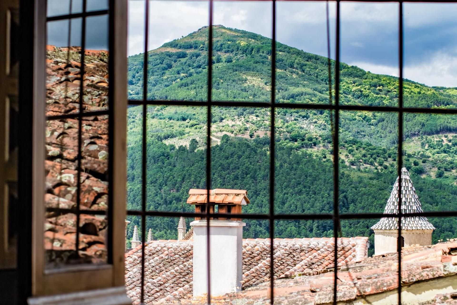 Studio with Garden View