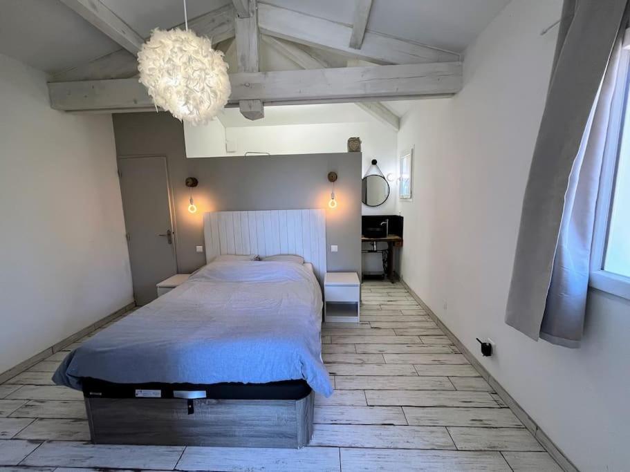 Joli F1 en bordure d'Ajaccio