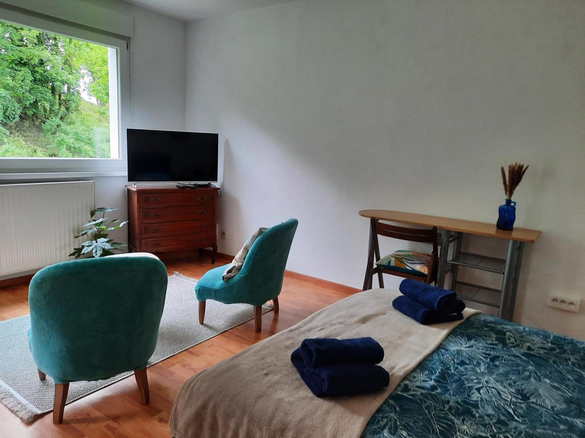 Photo of the whole room