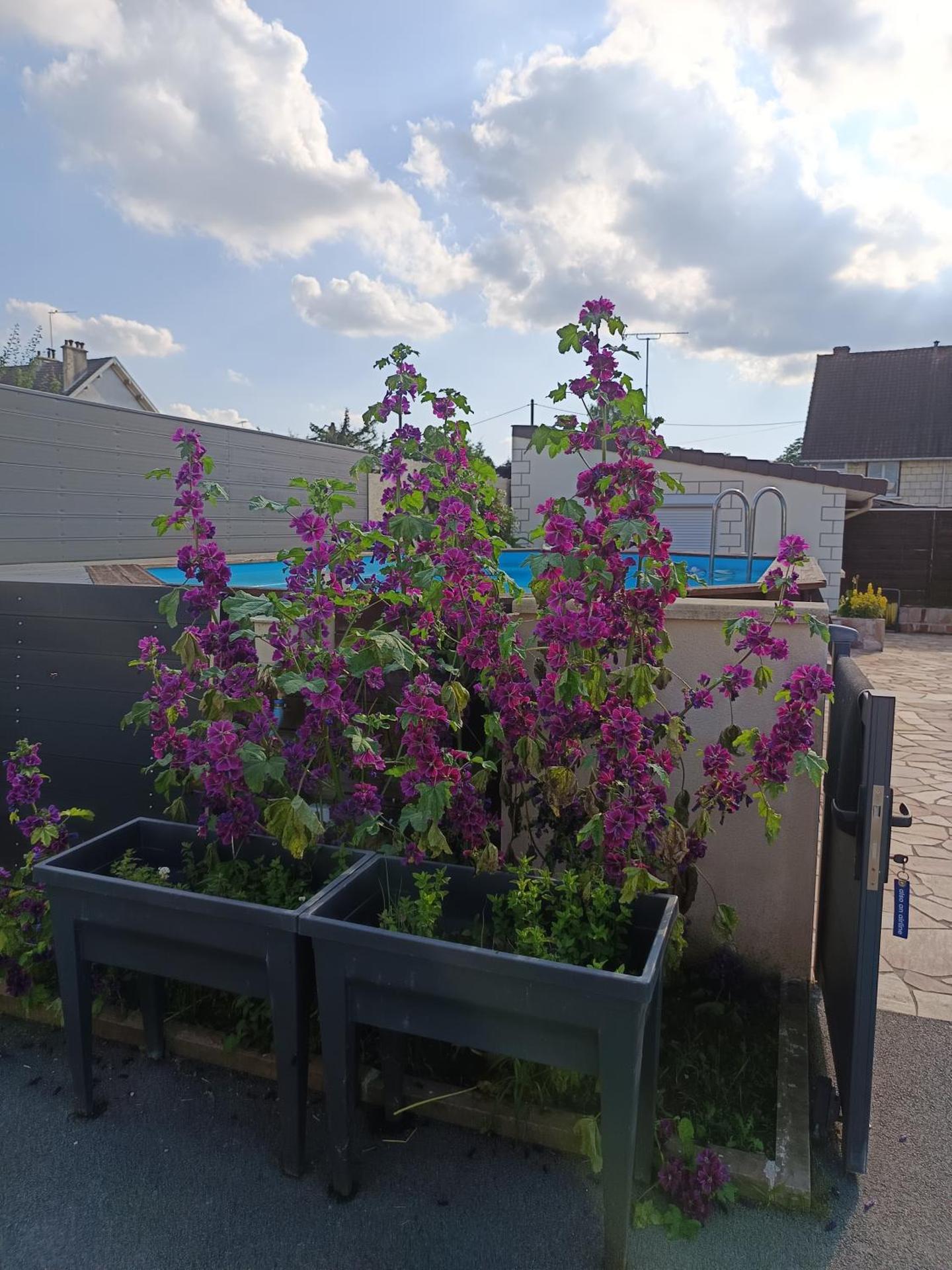 Studio neuf des amandines