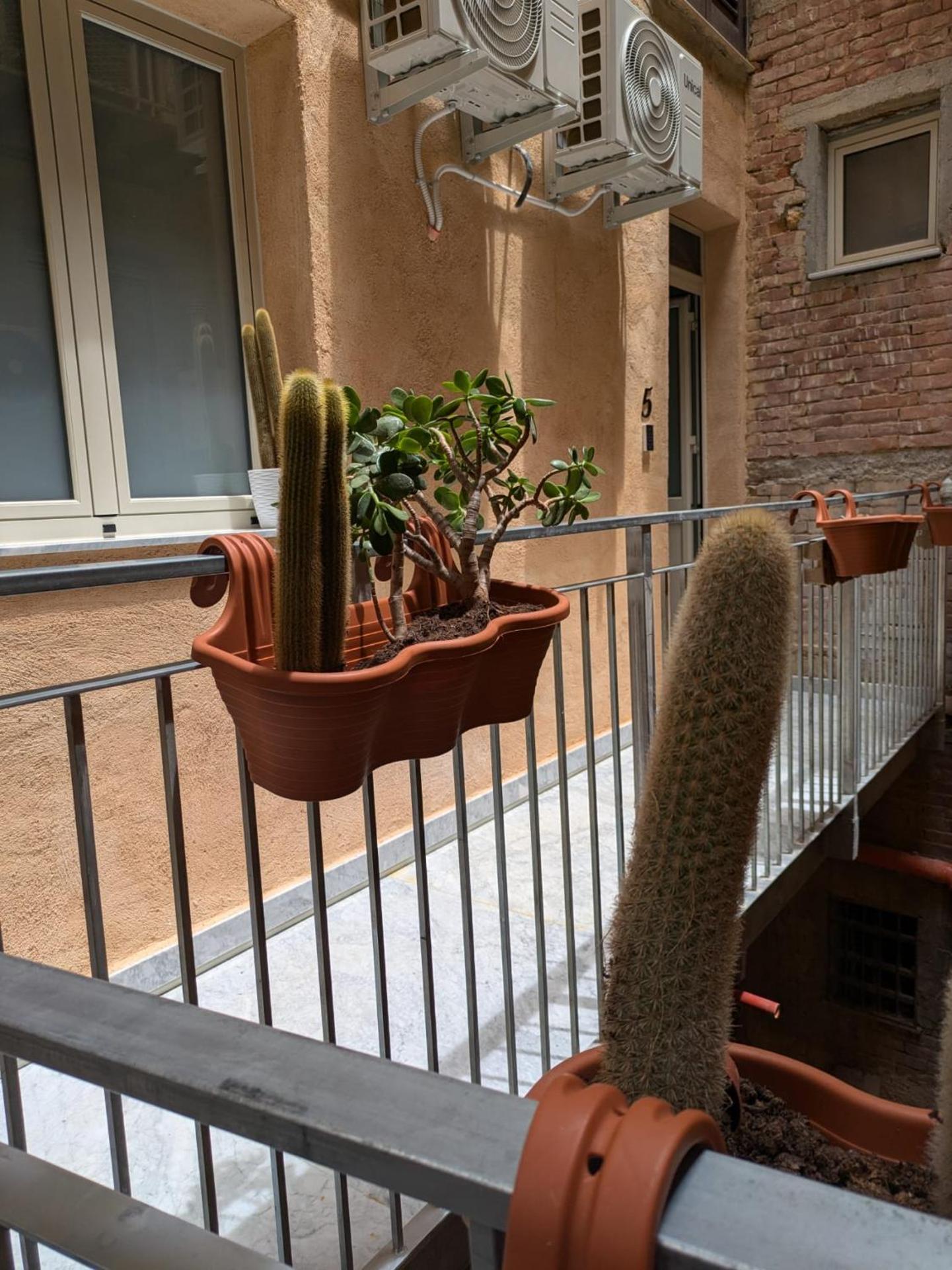 Casa Vella Apartment