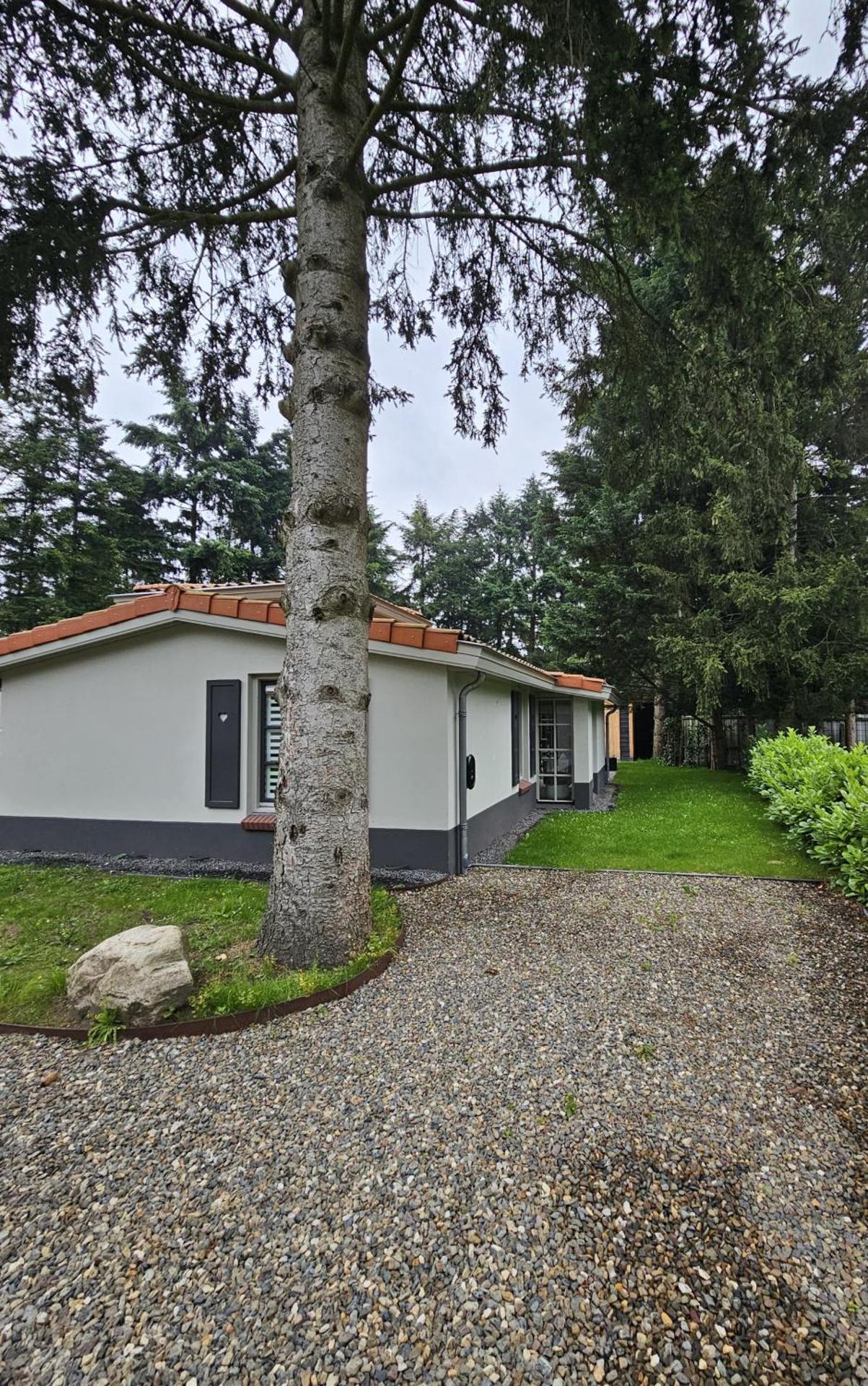 Casa do Cervo, Boshof 6 Luxe met overdekt terras