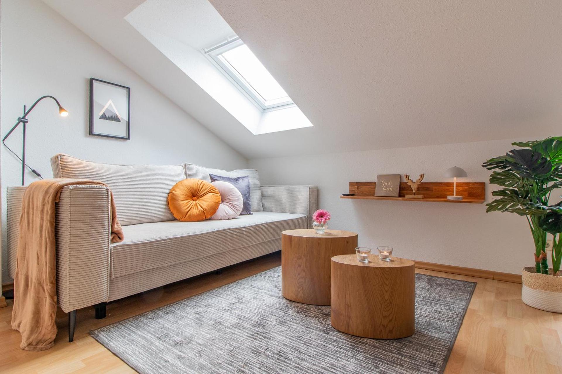 Photo of the whole room