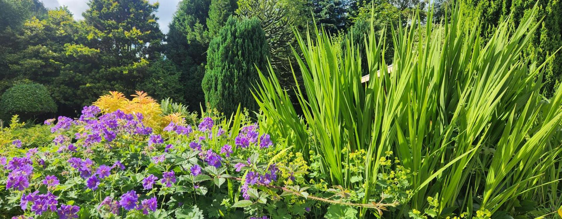 Modern and spacious 2 bedroom apartment with free parking